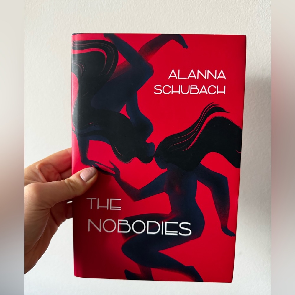 The Nobodies by Alanna Schubach | book, fiction, hardcover